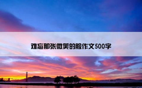 难忘那张微笑的脸作文500字