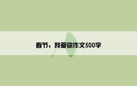 春节，我爱你作文500字