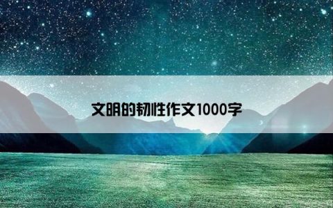 文明的韧性作文1000字