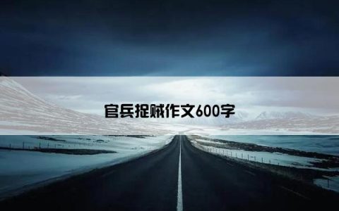 官兵捉贼作文600字