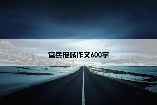 官兵捉贼作文600字