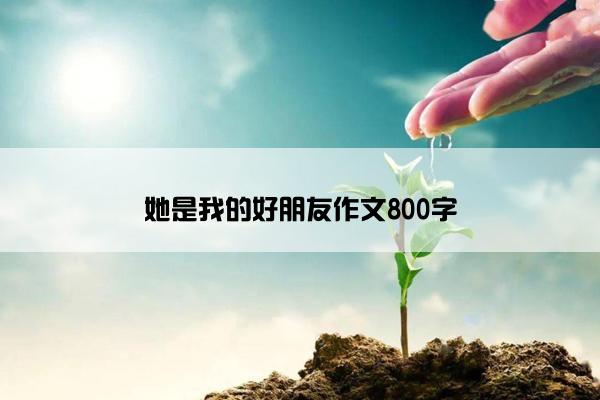 她是我的好朋友作文800字