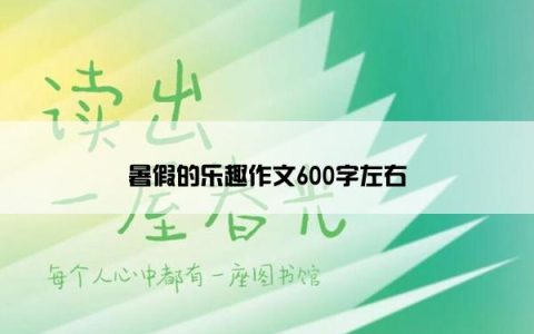 暑假的乐趣作文600字左右