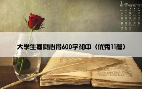 大学生寒假心得600字初中（优秀11篇）