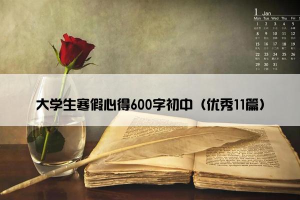 大学生寒假心得600字初中（优秀11篇）