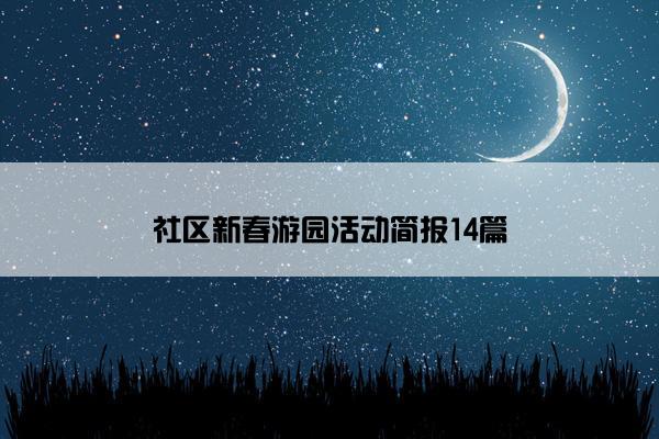 社区新春游园活动简报14篇