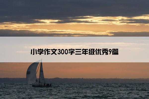 小学作文300字三年级优秀9篇