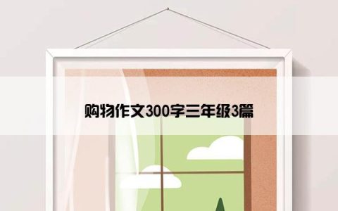 购物作文300字三年级3篇