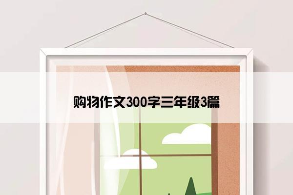 购物作文300字三年级3篇