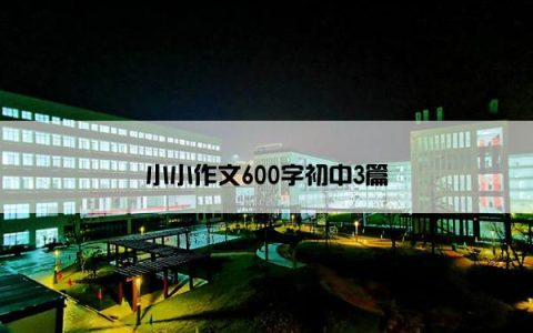 小小作文600字初中3篇