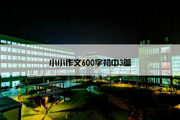 小小作文600字初中3篇