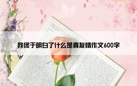 我终于明白了什么是真友情作文600字