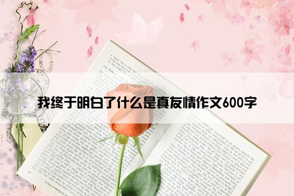 我终于明白了什么是真友情作文600字