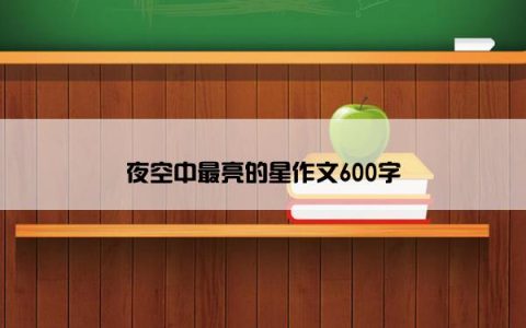 夜空中最亮的星作文600字