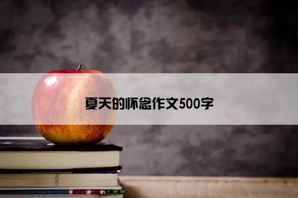 夏天的怀念作文500字