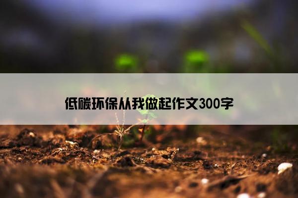 低碳环保从我做起作文300字