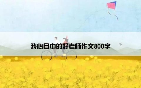 我心目中的好老师作文800字