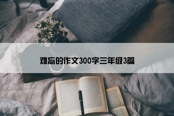 难忘的作文300字三年级3篇