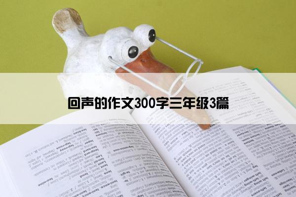 回声的作文300字三年级3篇