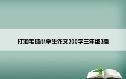 打羽毛球小学生作文300字三年级3篇