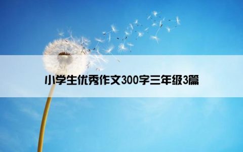 小学生优秀作文300字三年级3篇