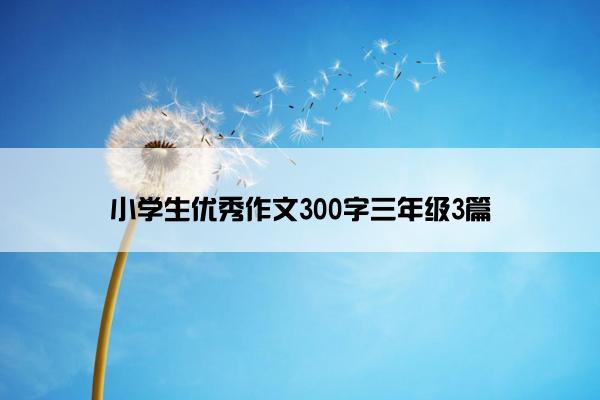 小学生优秀作文300字三年级3篇