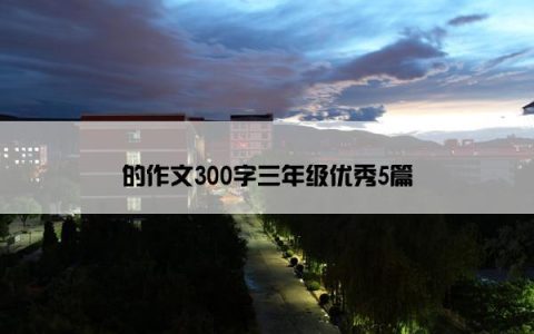 的作文300字三年级优秀5篇