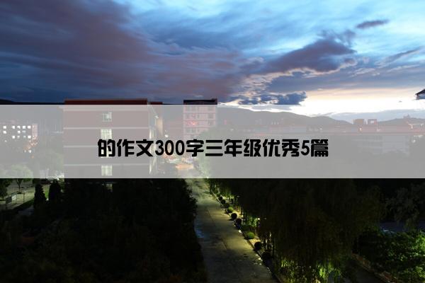 的作文300字三年级优秀5篇