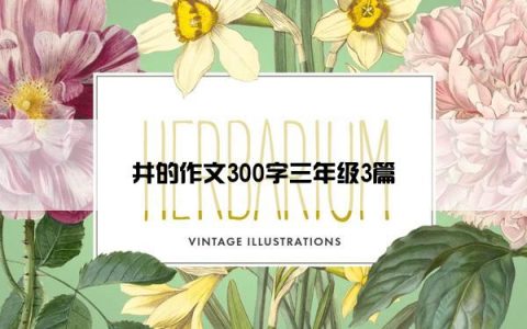 井的作文300字三年级3篇