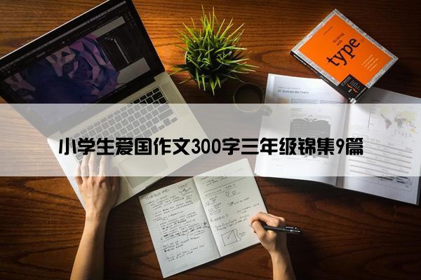 小学生爱国作文300字三年级锦集9篇