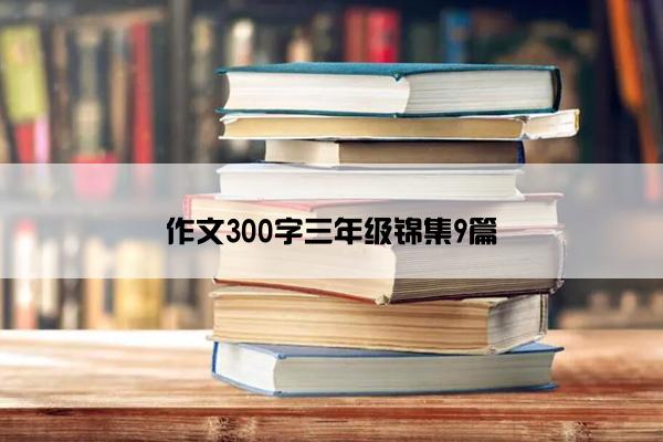 作文300字三年级锦集9篇