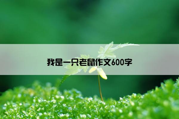 我是一只老鼠作文600字