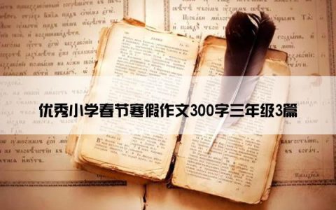 优秀小学春节寒假作文300字三年级3篇