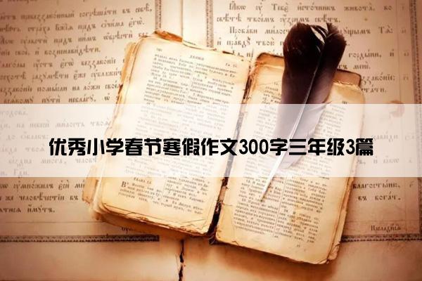 优秀小学春节寒假作文300字三年级3篇