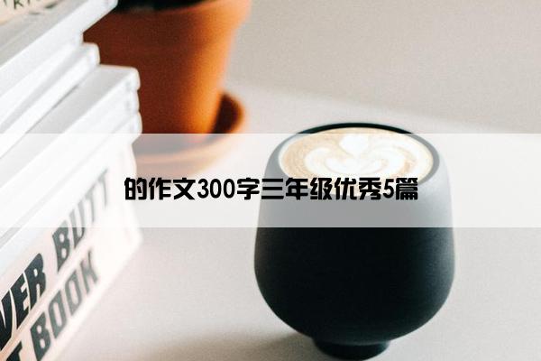 的作文300字三年级优秀5篇