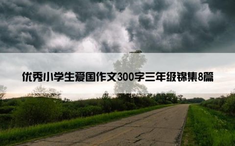 优秀小学生爱国作文300字三年级锦集8篇