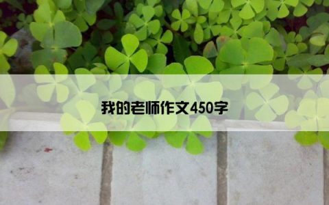 我的老师作文450字
