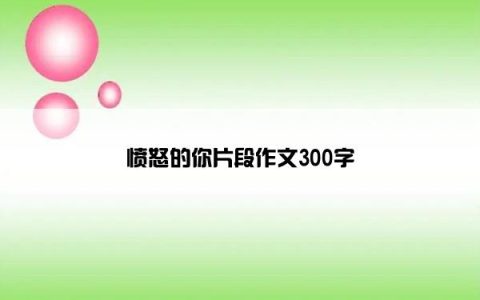 愤怒的你片段作文300字