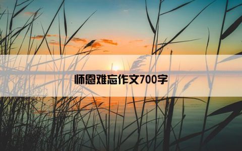 师恩难忘作文700字