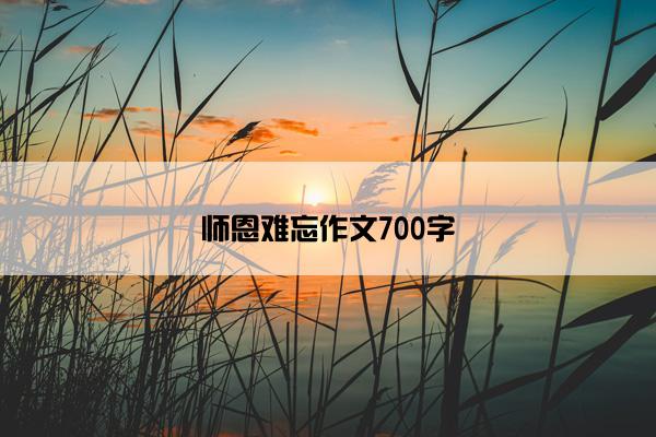 师恩难忘作文700字