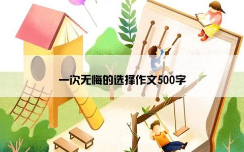 一次无悔的选择作文500字