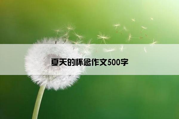 夏天的怀念作文500字