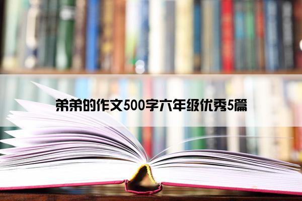 弟弟的作文500字六年级优秀5篇