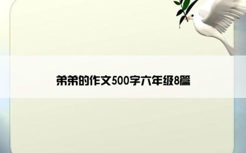 弟弟的作文500字六年级8篇