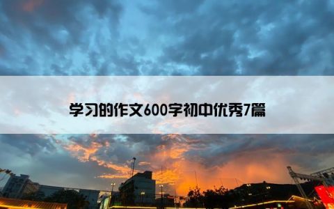 学习的作文600字初中优秀7篇