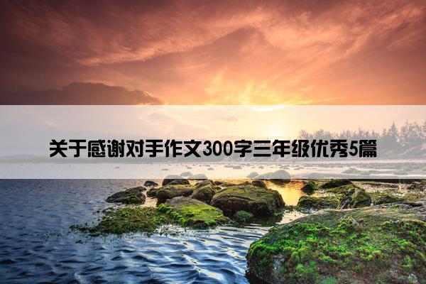 关于感谢对手作文300字三年级优秀5篇