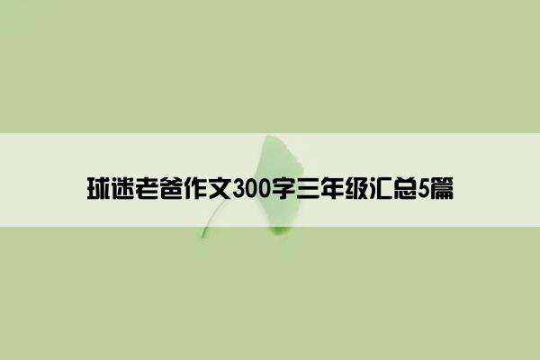 球迷老爸作文300字三年级汇总5篇