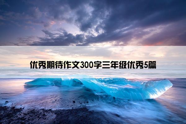 优秀期待作文300字三年级优秀5篇