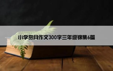 小学赏月作文300字三年级锦集6篇