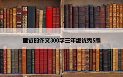 考试的作文300字三年级优秀5篇